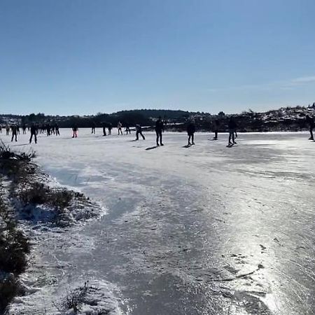 Eureka Vakantiehuisjes Schoorl Dış mekan fotoğraf